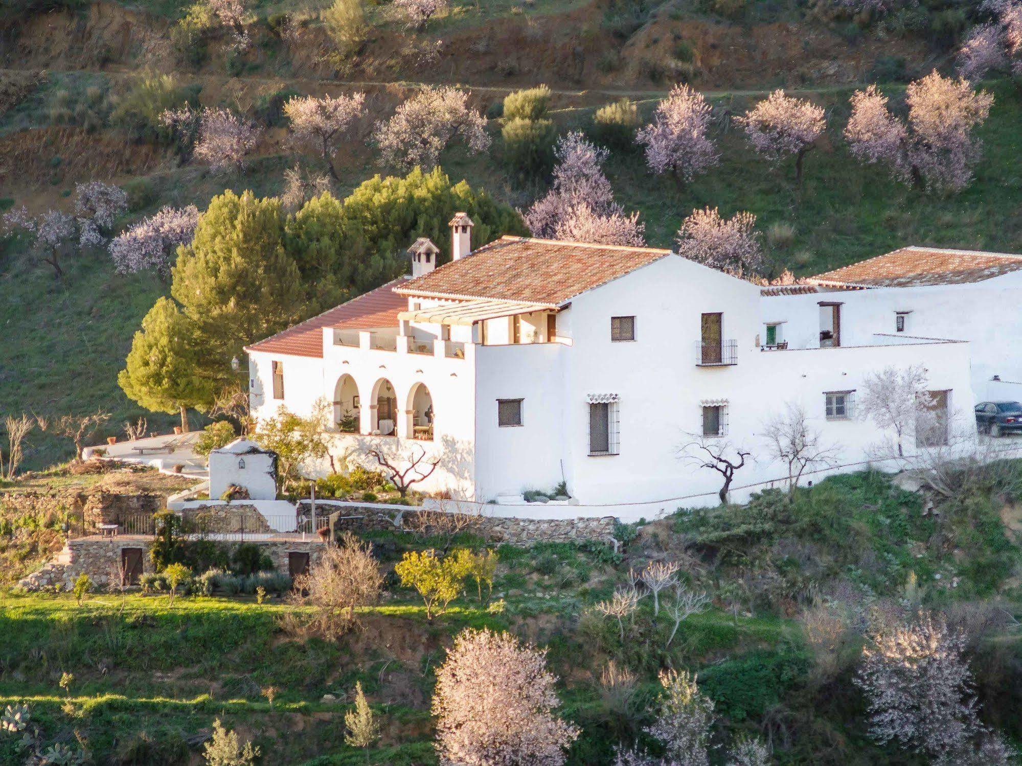 Gasthaus Cortijo Juan Salvador Olías Exterior foto